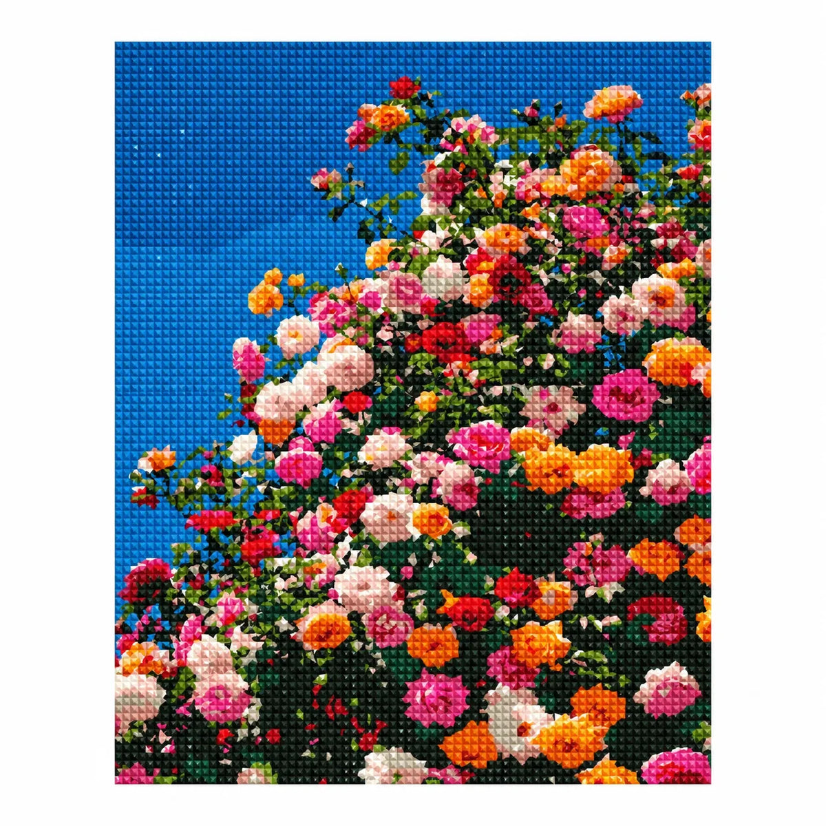 White-background finished diamond painting of Sunlit Rose Canopy