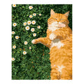 Original artwork for Sunlit Slumber Among Daisies Diamond Painting Kit