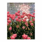 Original artwork for Sunlit Tulip Reflection Diamond Painting Kit, showing pink tulips reflected in a pond beneath warm sunlight.