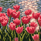 Close-up of drill texture and color in pink tulips reflected in a pond beneath warm sunlight.