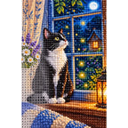 Tuxedo Cat Starry Window Diamond Painting Kit diamond and canvas detail