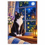 Tuxedo Cat Starry Window Diamond Painting Kit finished diamond artwork on white background