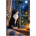 Tuxedo Cat Starry Window original artwork on white background