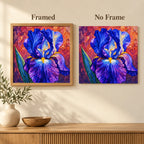 Framed and no-frame comparison for Violet Iris Bloom