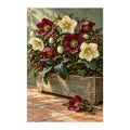 White-background original artwork of winter hellebores in a wooden box