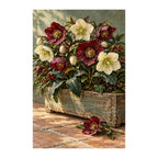 White-background original artwork of winter hellebores in a wooden box