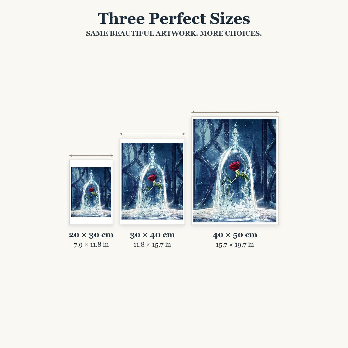 20 × 30, 30 × 40 and 40 × 50 cm size guide for Winter Rose Under Glass