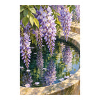 Lavender wisteria and green leaves reflected in a stone basin: original artwork on a clean white background